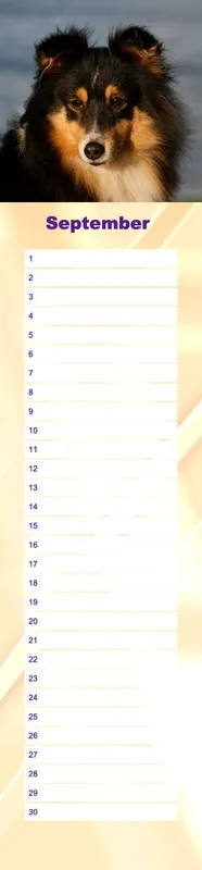 Geburtstagskalender Sheltie