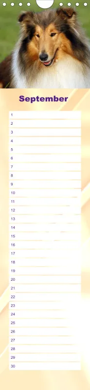 Geburtstagskalender Collie
