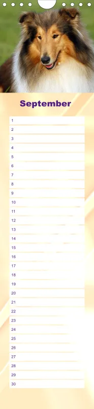 Geburtstagskalender Collie