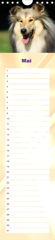 Geburtstagskalender Collie