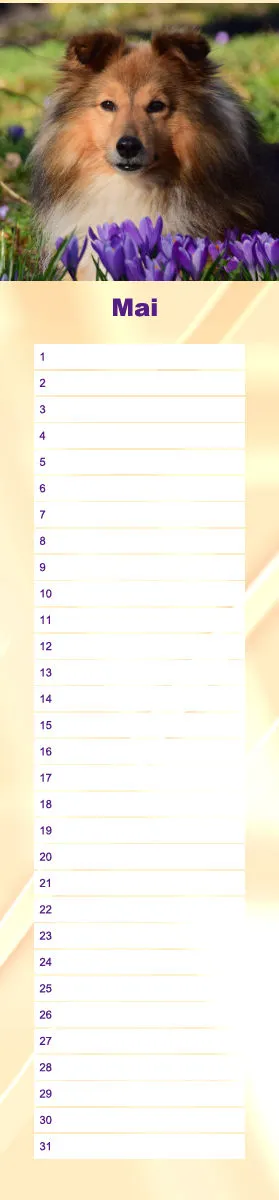Geburtstagskalender Sheltie