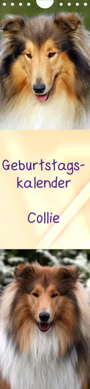 Geburtstagskalender Collie
