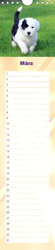 Geburtstagskalender Bobtail