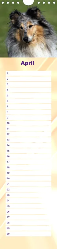 Geburtstagskalender Collie