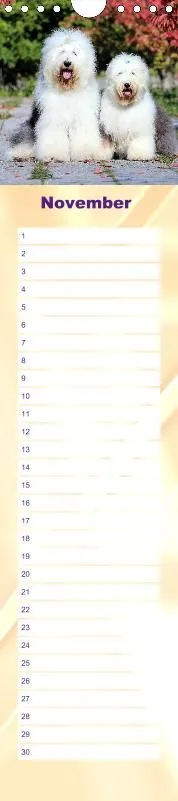Geburtstagskalender Bobtail