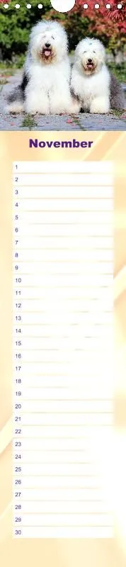 Geburtstagskalender Bobtail