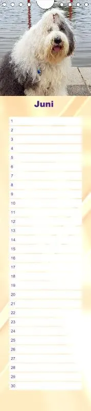 Geburtstagskalender Bobtail