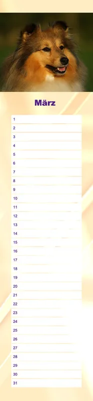 Geburtstagskalender Sheltie