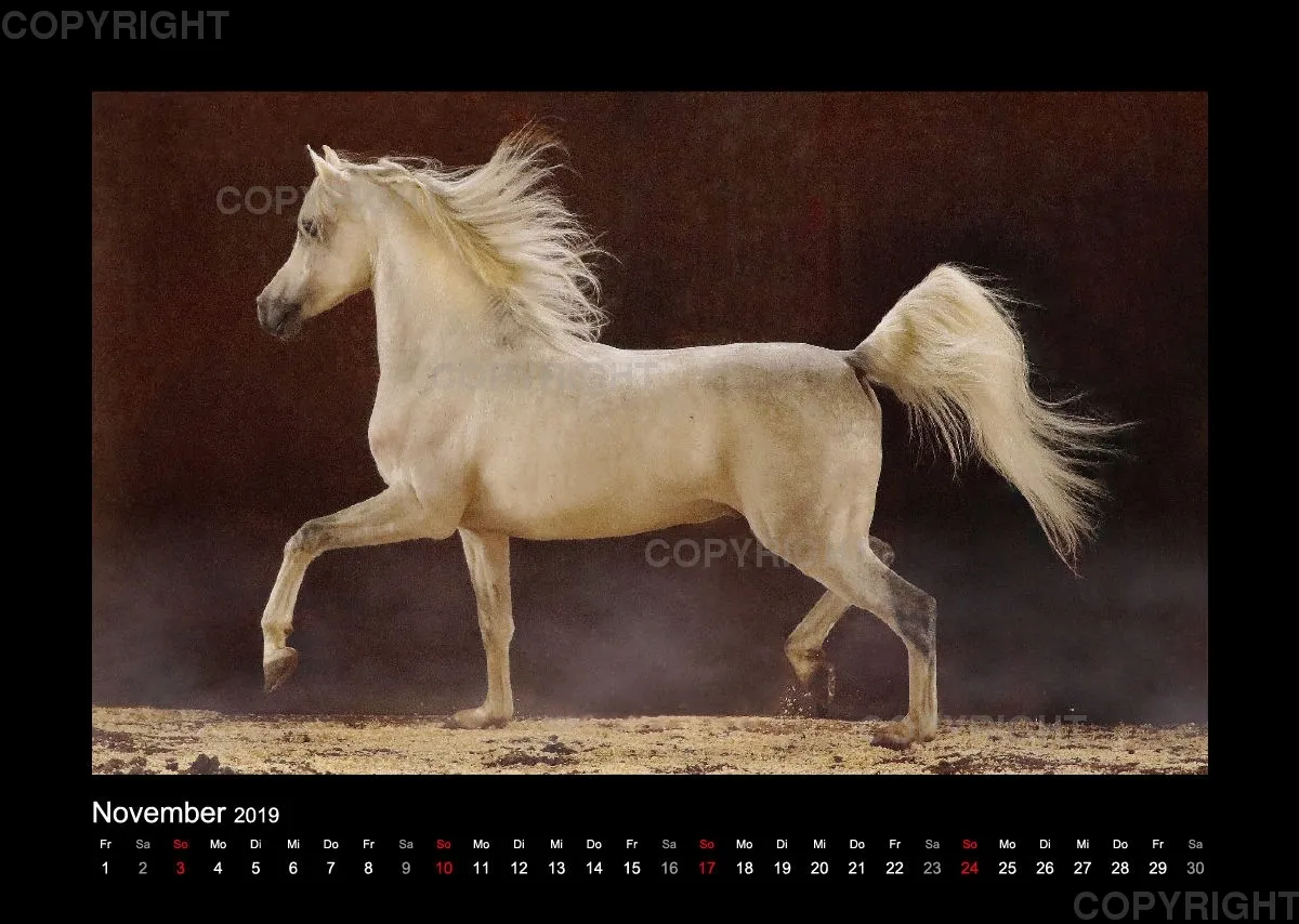 Arabian Dreams 2019 - Vol.1