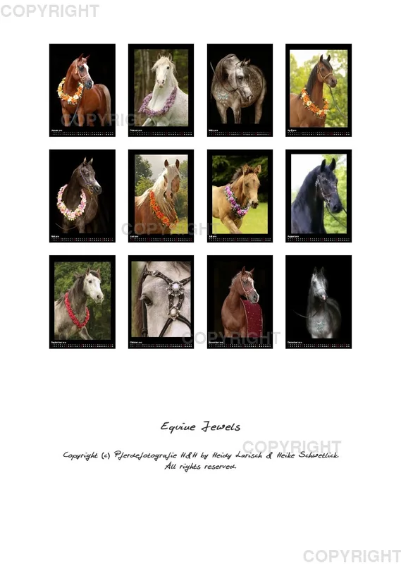 Equine Jewels 2019