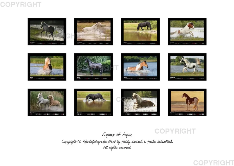 Equus et Aqua 2019 Vol.1