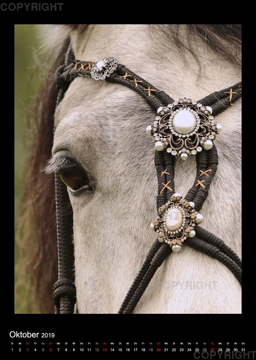 Equine Jewels 2019