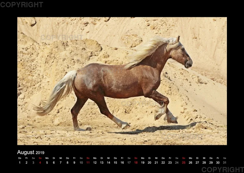 Equiner Spaß im Sand 2019