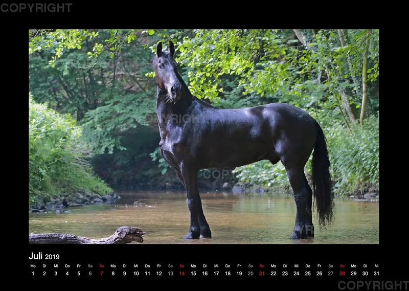 Magic Horses 2019