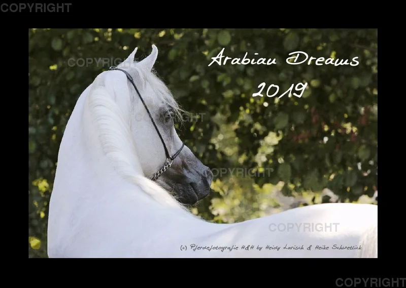 Arabian Dreams 2019 - Vol.1