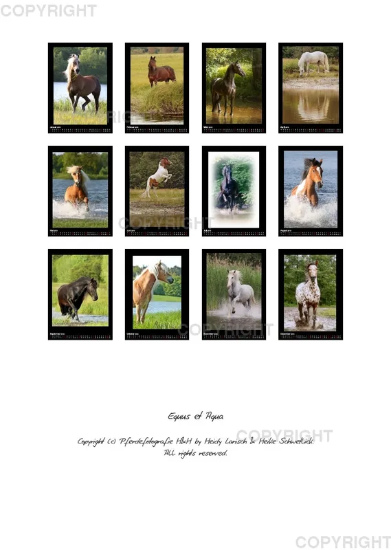 Equus et Aqua 2019 Vol.2