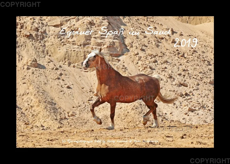 Equiner Spaß im Sand 2019