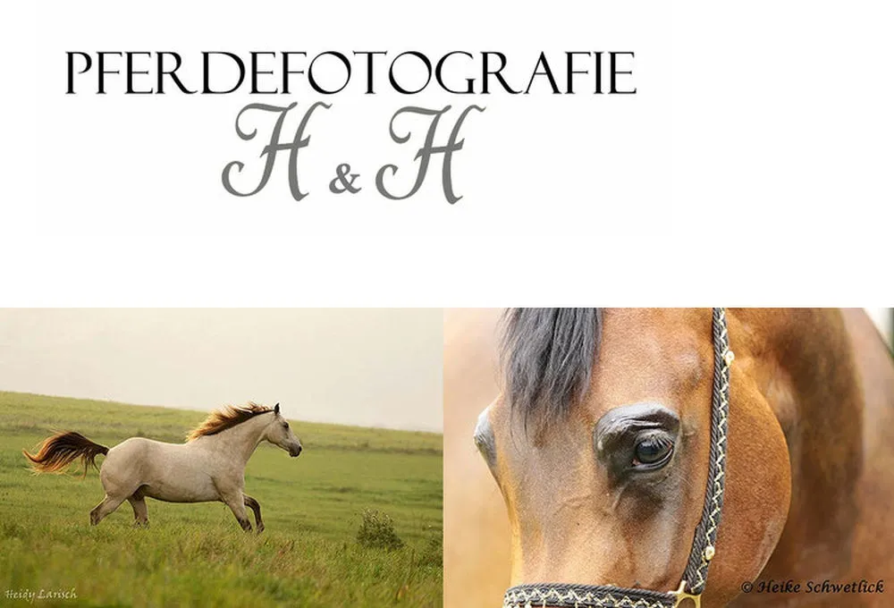 Pferdefotografie H&H - Heidy Larisch & Heike Schwetlick