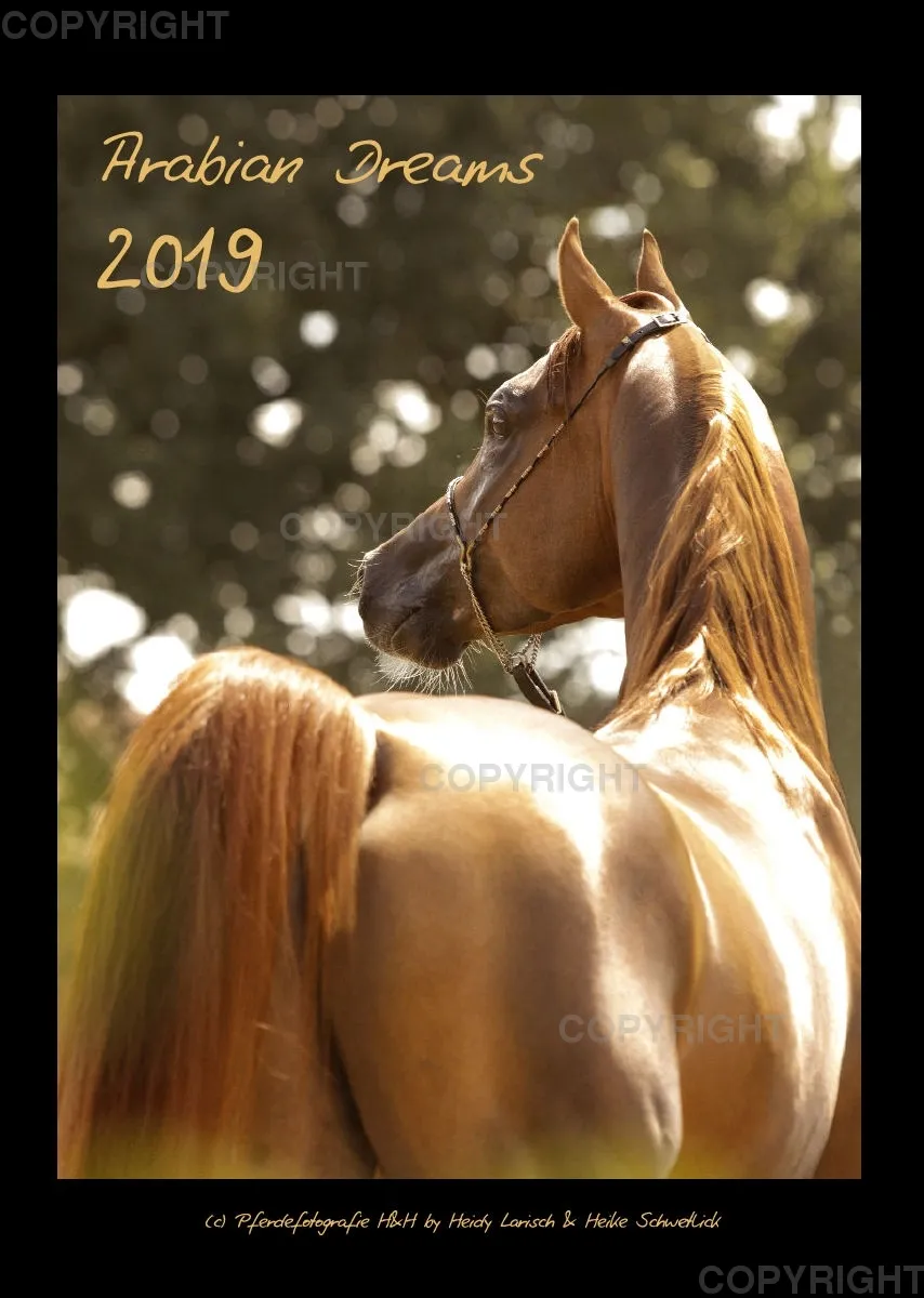 Arabian Dreams 2019 - Vol.2