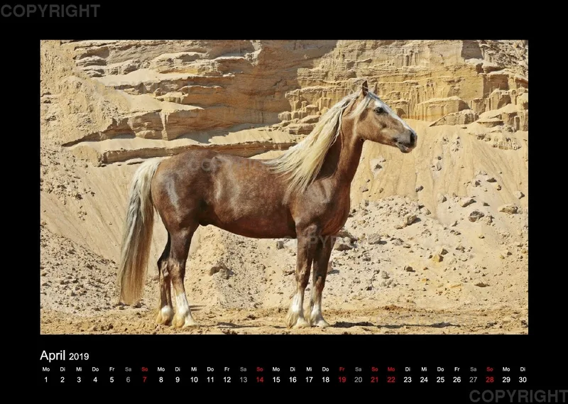 Magic Horses 2019