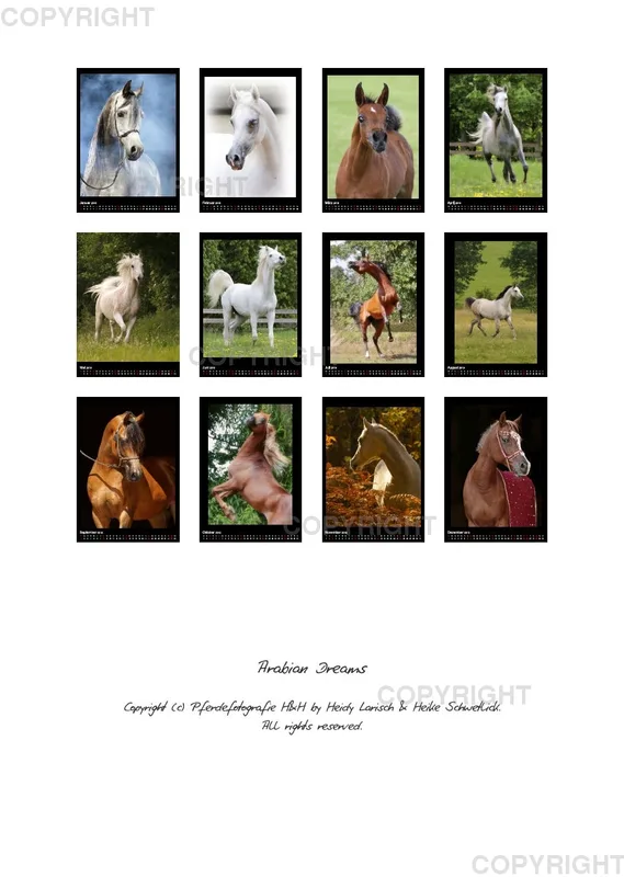 Arabian Dreams 2019 - Vol.2
