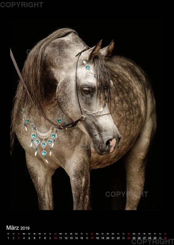 Equine Jewels 2019