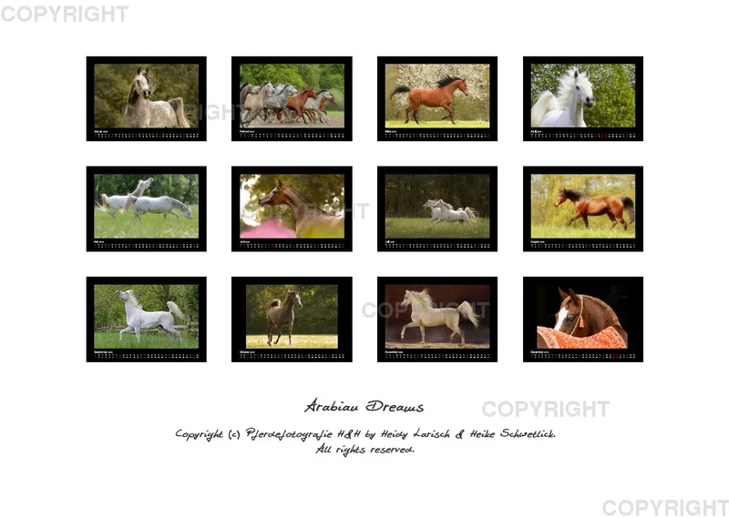 Arabian Dreams 2019 - Vol.1