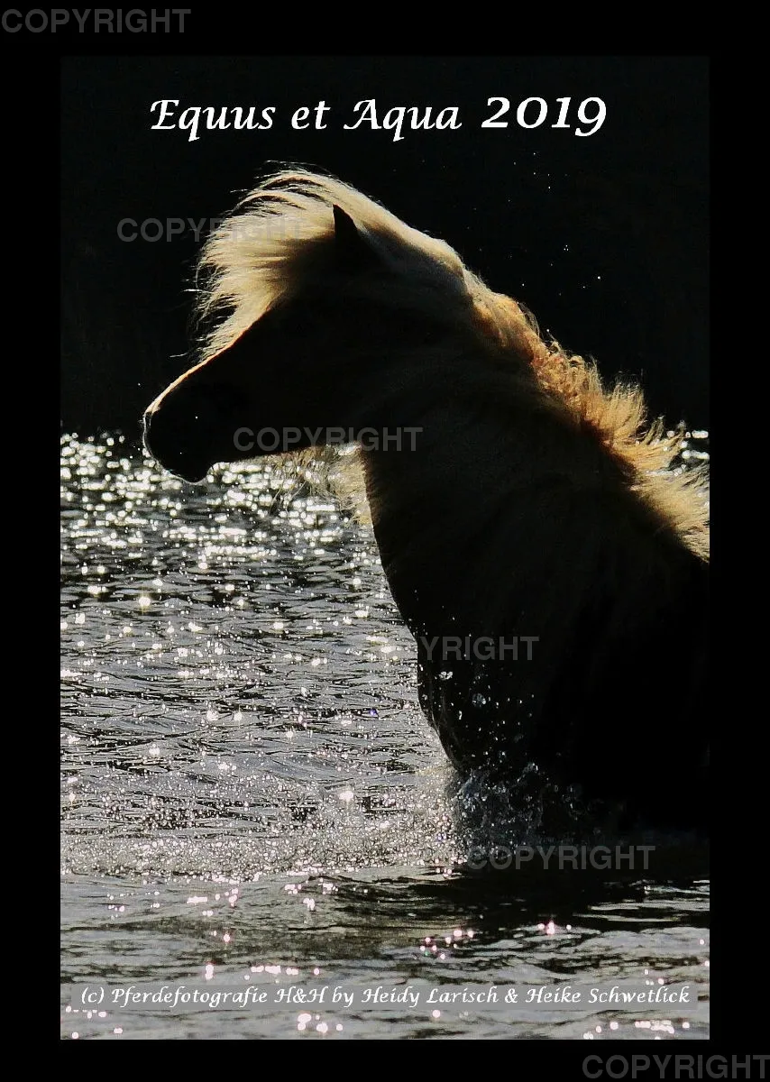 Equus et Aqua 2019 Vol.2
