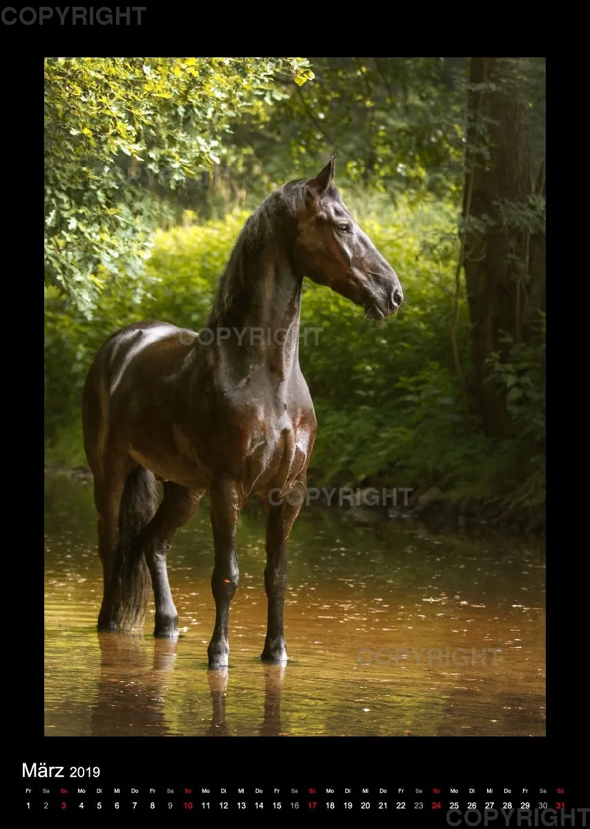 Equus et Aqua 2019 Vol.2