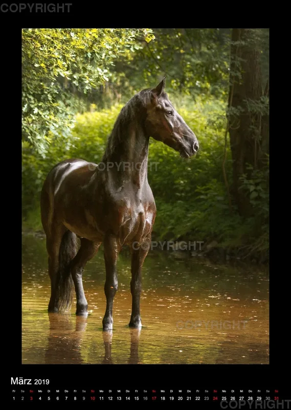 Equus et Aqua 2019 Vol.2