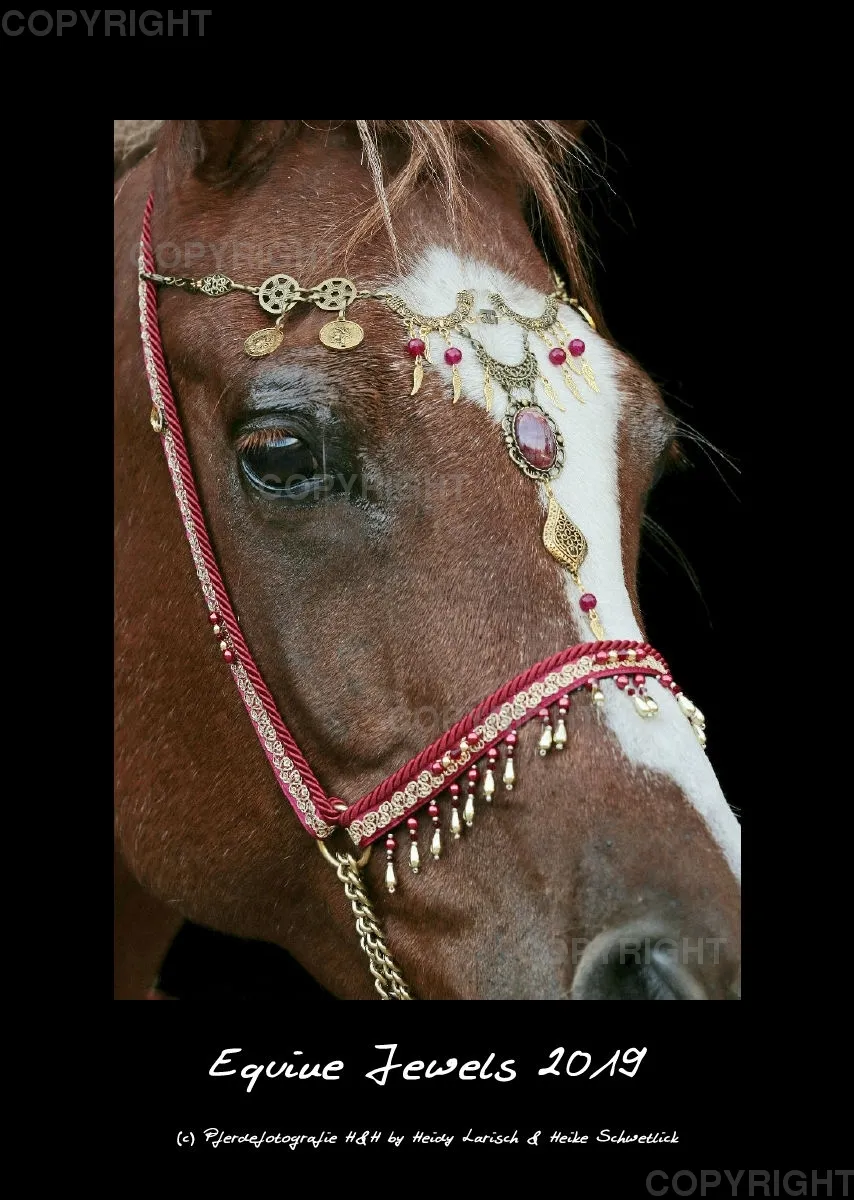 Equine Jewels 2019