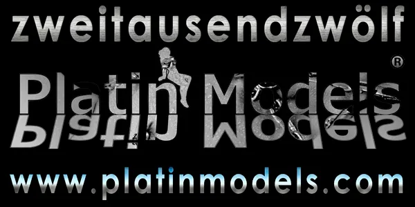 PlatinModels