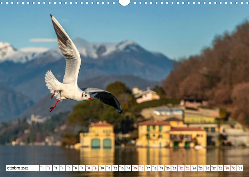Italienisch, Bella Italia - Lago Maggiore, Ortasee