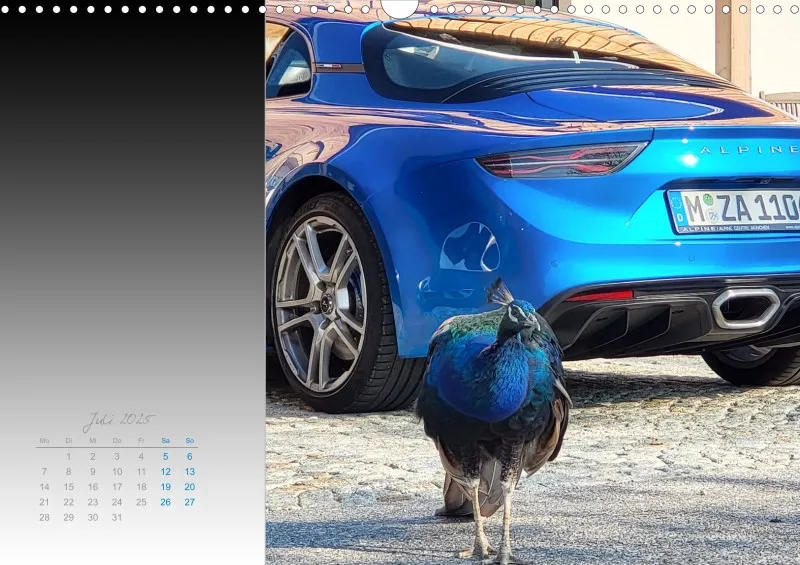 RACI Kalender A3 / 2025