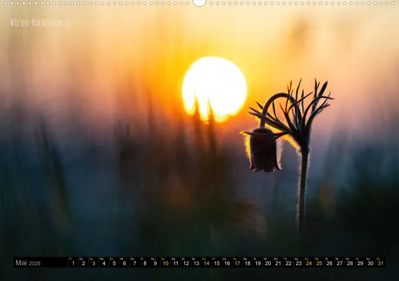 Rainer Outdoor Kalender 2026