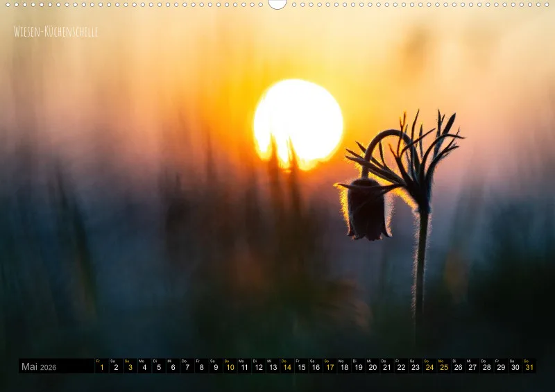 Rainer Outdoor Kalender 2026