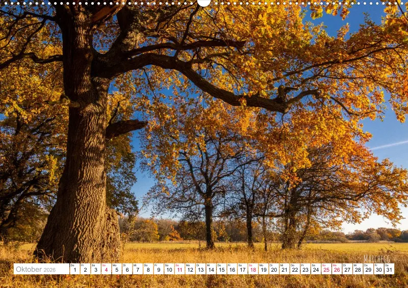 Rainer Outdoor Kalender 2026