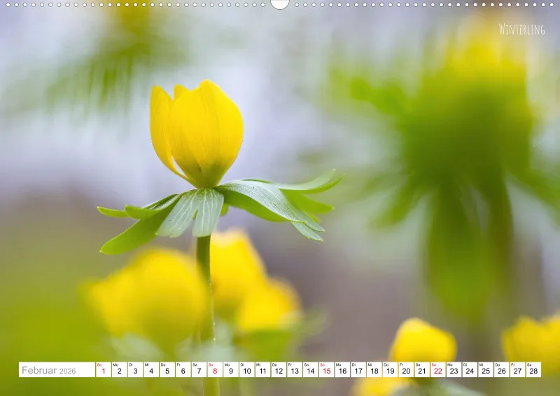 Rainer Outdoor Kalender 2026
