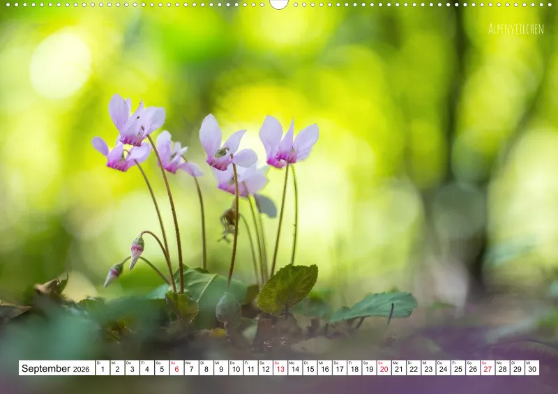 Rainer Outdoor Kalender 2026