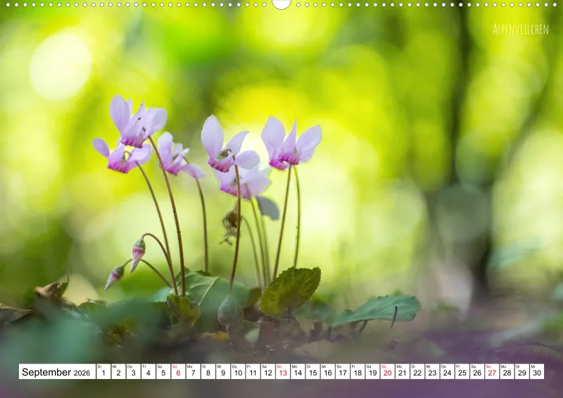Rainer Outdoor Kalender 2026