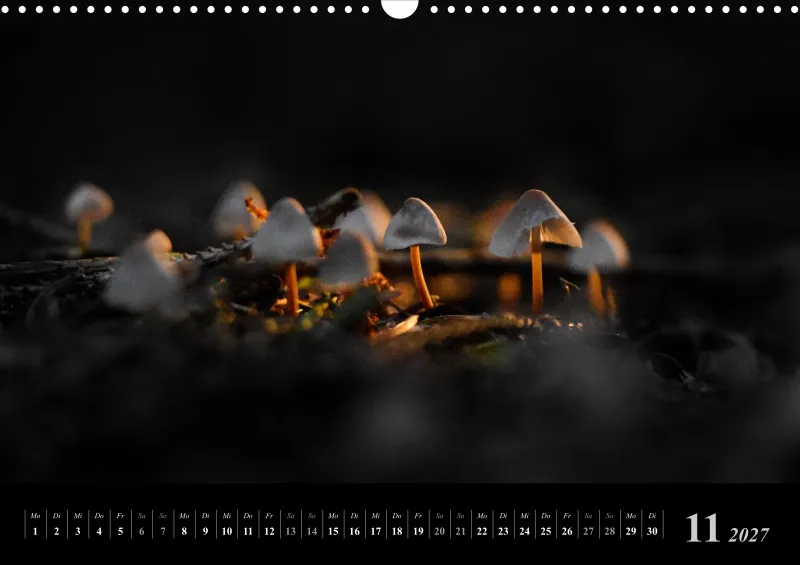 Foto-Kalender 2027