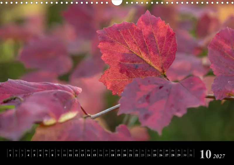 Foto-Kalender 2027