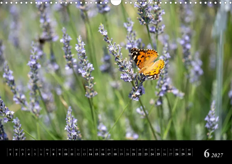 Foto-Kalender 2027
