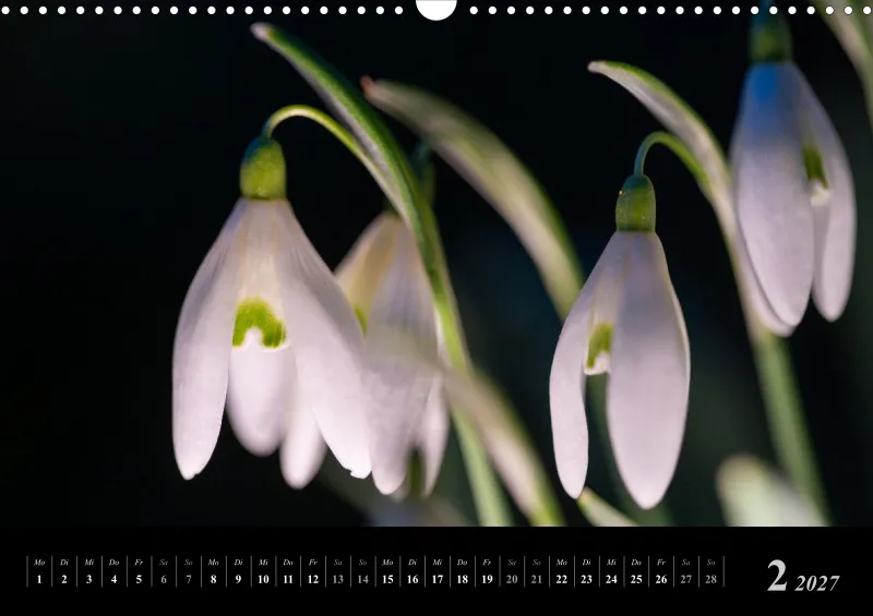 Foto-Kalender 2027