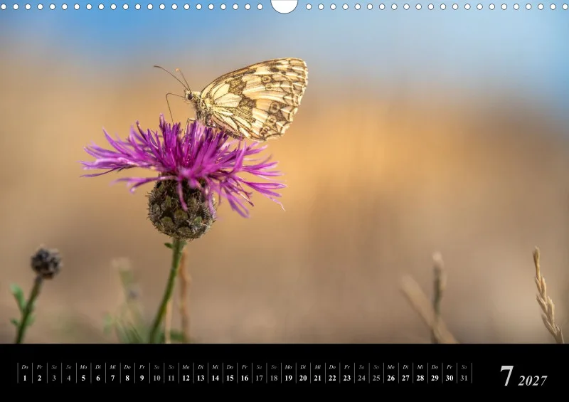 Foto-Kalender 2027
