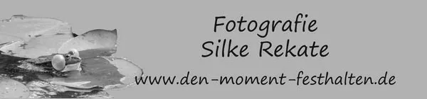 Silke Rekate