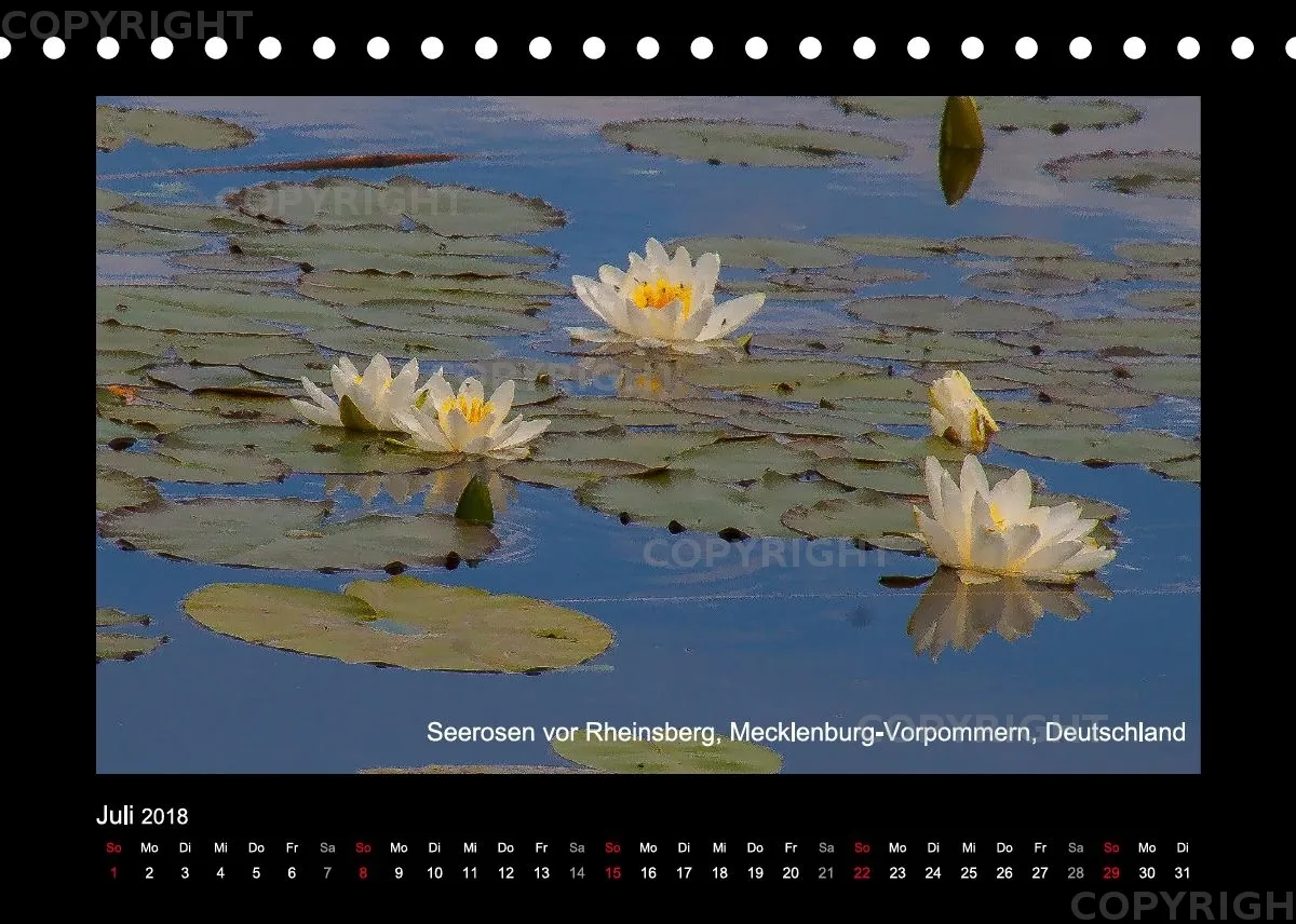 Tischkalender A5