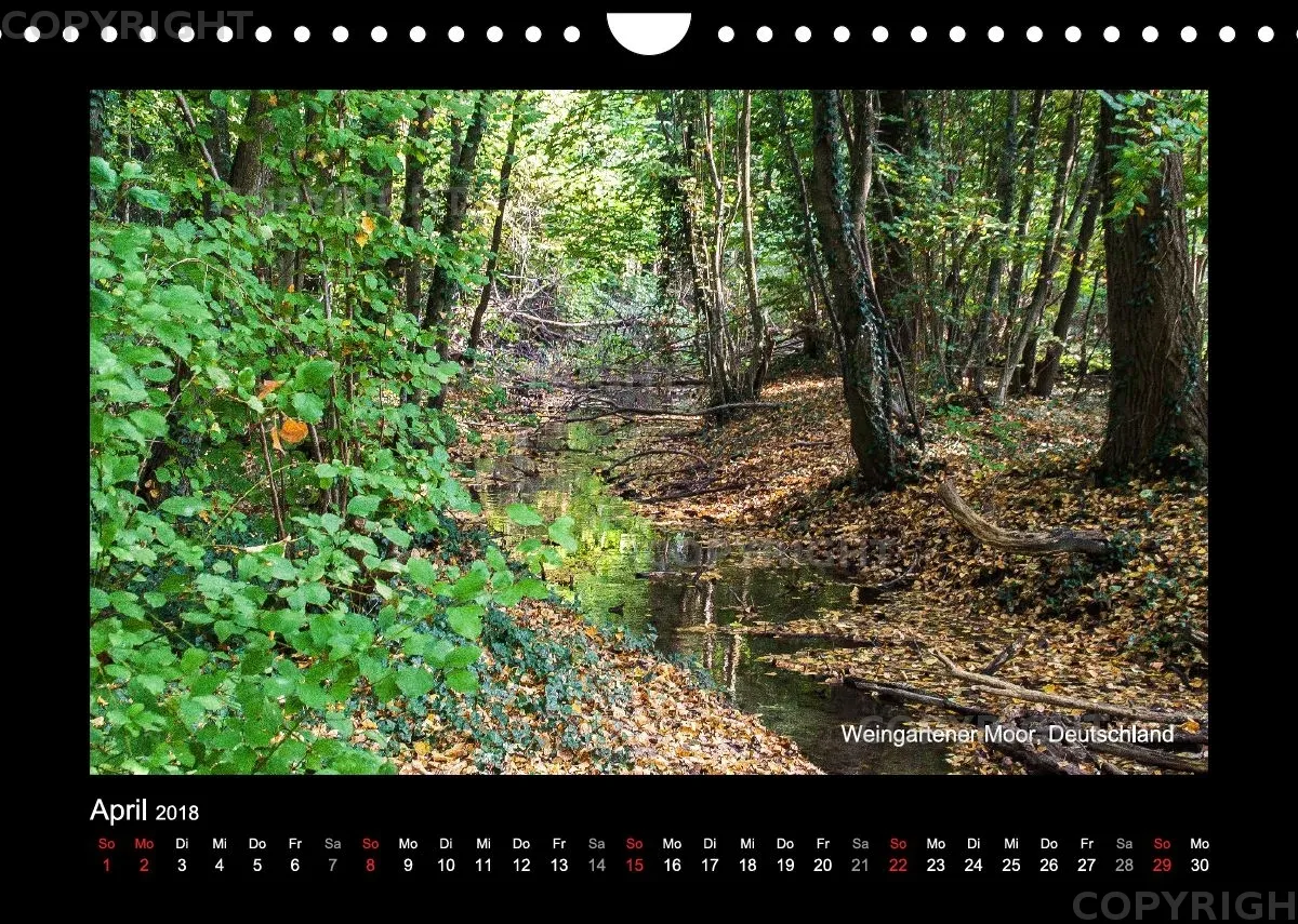 Fotokalender / Nr. 43