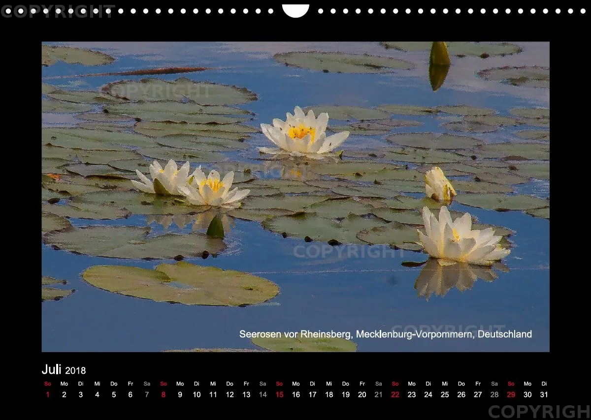 Fotokalender / Nr. 42