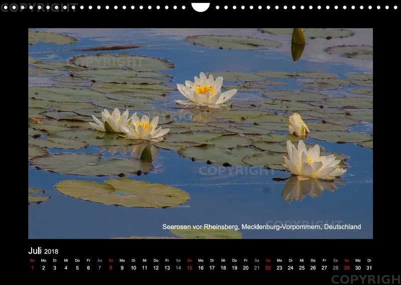 Fotokalender / Nr. 42